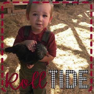 Meet your Posher, Summer